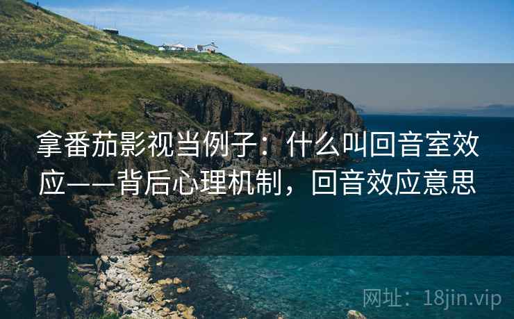 拿番茄影视当例子：什么叫回音室效应——背后心理机制，回音效应意思