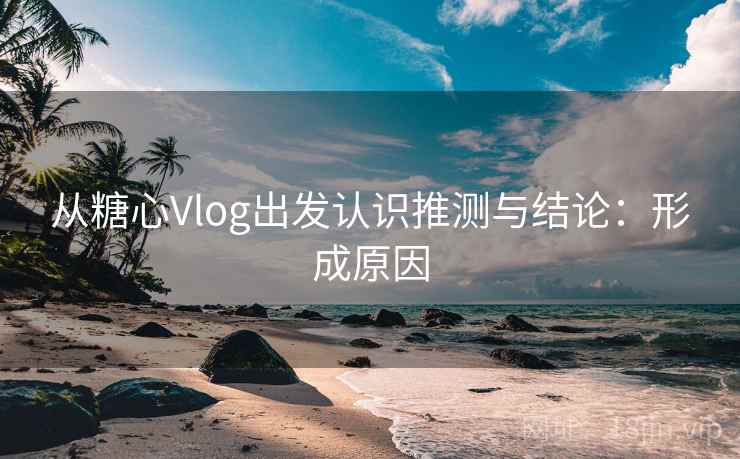 从糖心Vlog出发认识推测与结论：形成原因