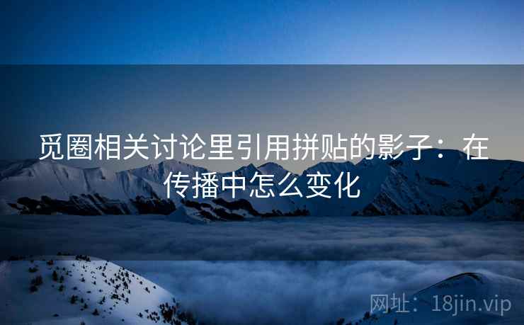 觅圈相关讨论里引用拼贴的影子：在传播中怎么变化