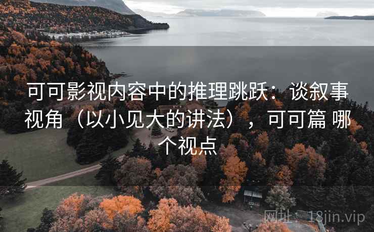 可可影视内容中的推理跳跃：谈叙事视角（以小见大的讲法），可可篇 哪个视点