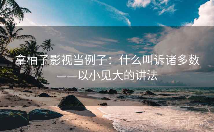 拿柚子影视当例子：什么叫诉诸多数——以小见大的讲法