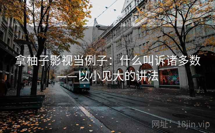 拿柚子影视当例子：什么叫诉诸多数——以小见大的讲法